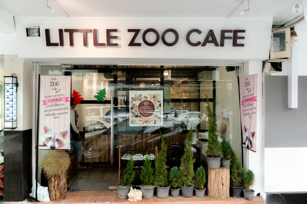 Unique Cafe With a Fennec Fox In Bangkok