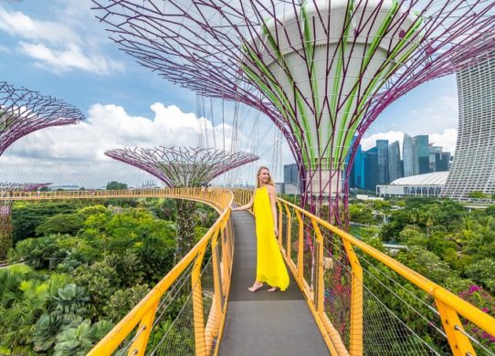 The beauty of the Garden by the Bay Singapore