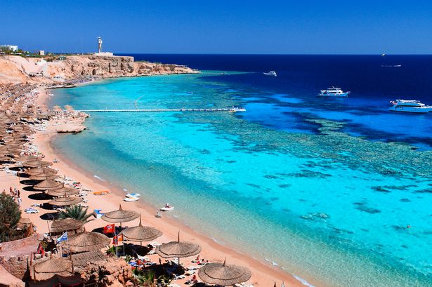 Red Sea In Egypt Which Is Really Beautifull